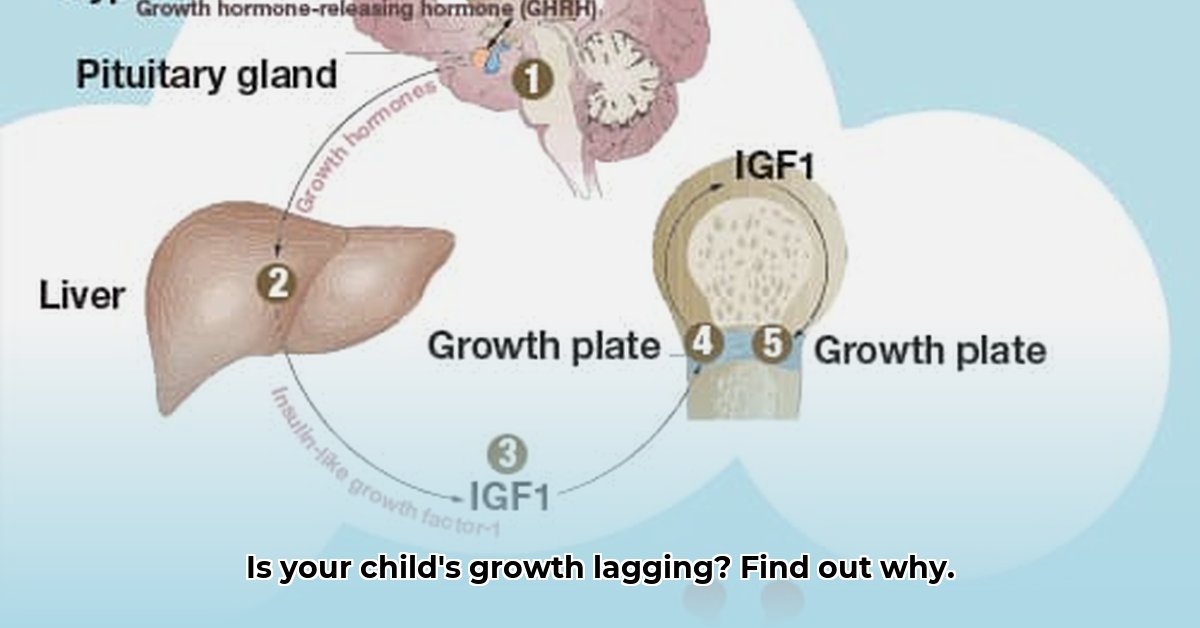 growth-hormone-deficiency